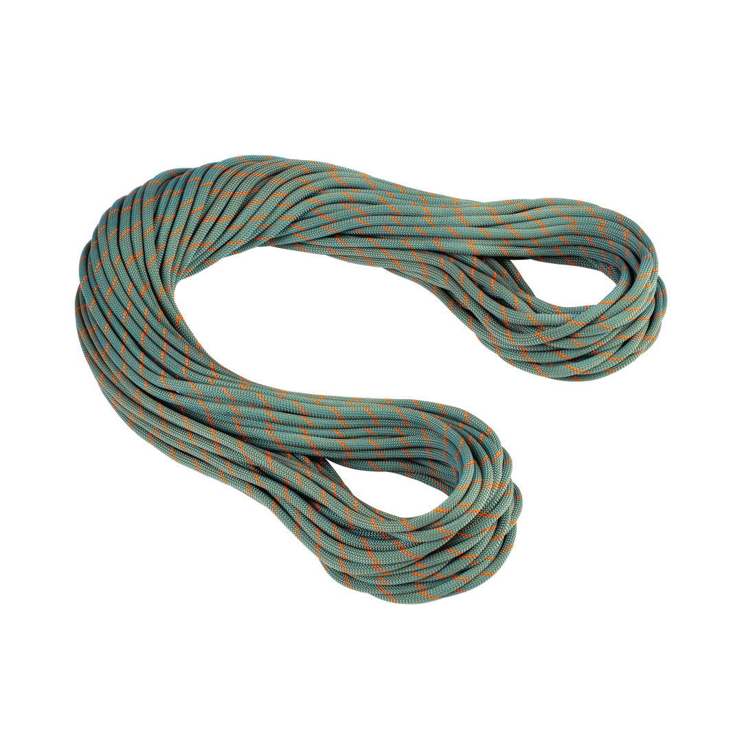 Mammut Gear 9.9 Crag Workhorse Dry Rope 3 Mammut Gear 9.9 Crag Workhorse Dry Rope