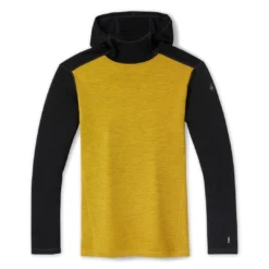 Smartwool Clothing Merino 250 Base Layer Hoodie Men's