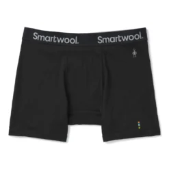Smartwool Merino Sport 150 Boxer Brief Men's Clothing