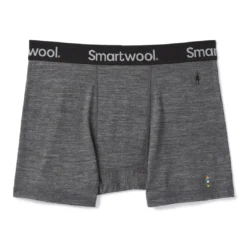 Smartwool Merino Sport 150 Boxer Brief Men's Clothing