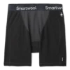 Smartwool Clothing Merino Sport 250 Wind Boxer Brief Men's