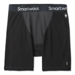 Smartwool Clothing Merino Sport 250 Wind Boxer Brief Men's