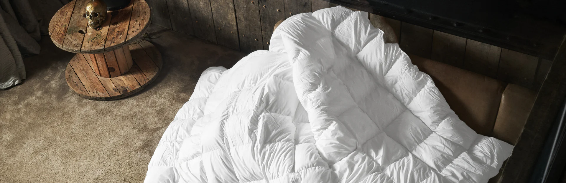 Wild Trek Store -Wild Trek Store newbanner 2 7e67a002 6df1 4a48 8d25 9f10c95bb3a5